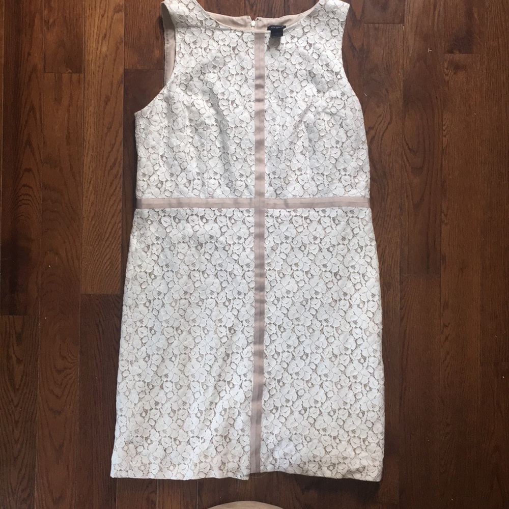 Ann Taylor size 16 lace dress!